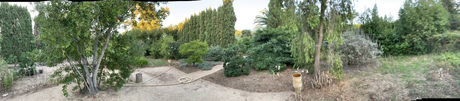 Création de jardin paysager
