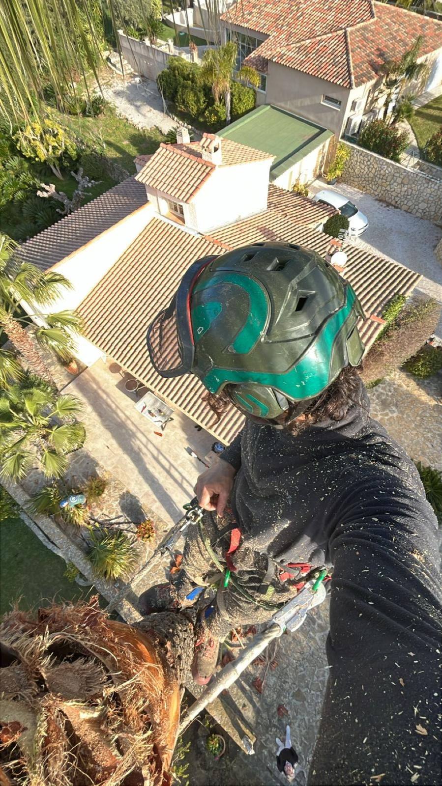 Vue aérienne d'un chantier d'élagage