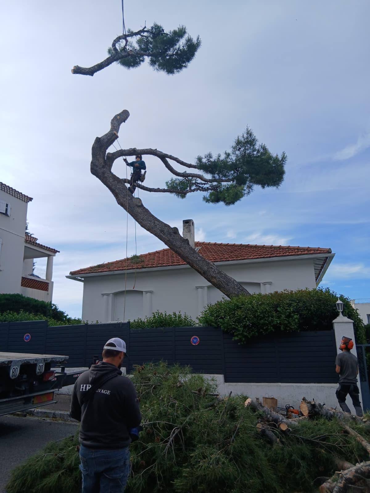 Démontage avec rétention de branche