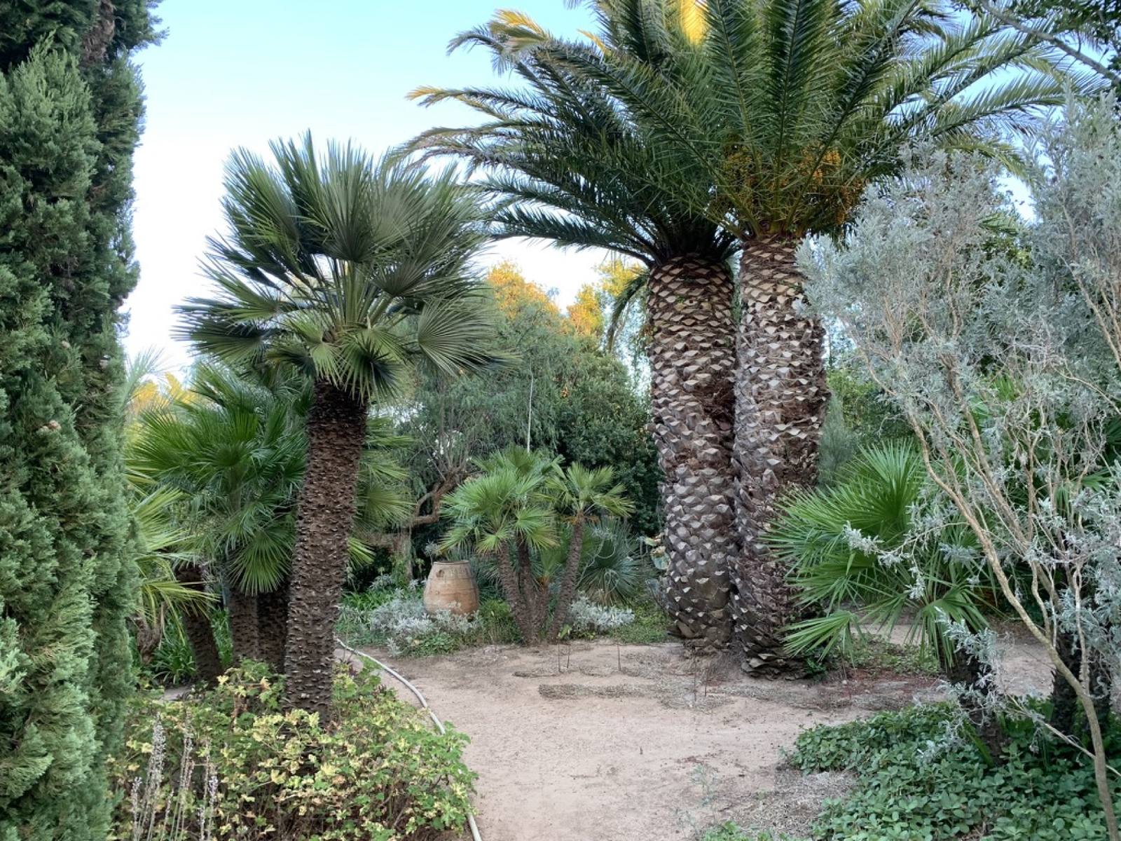 Jardin méditerranéen avec palmiers entretenu par Pachamama Kanaloa